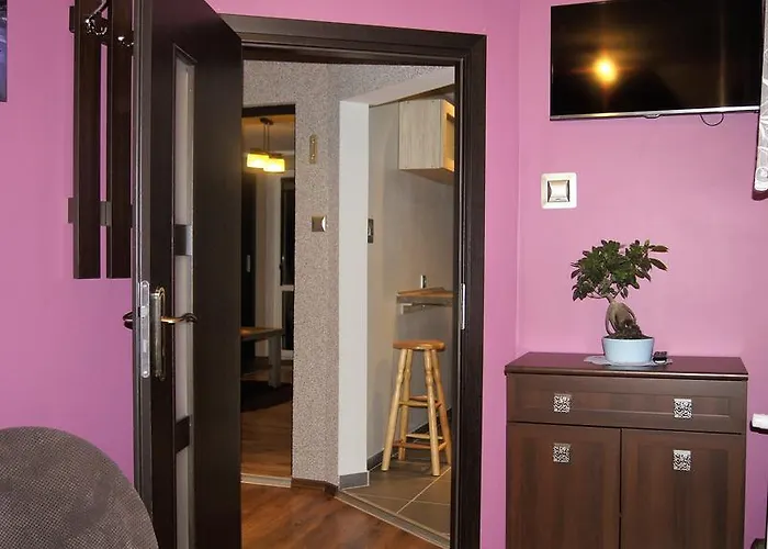 Olivier * ポラニツァ・ズドゥルイ